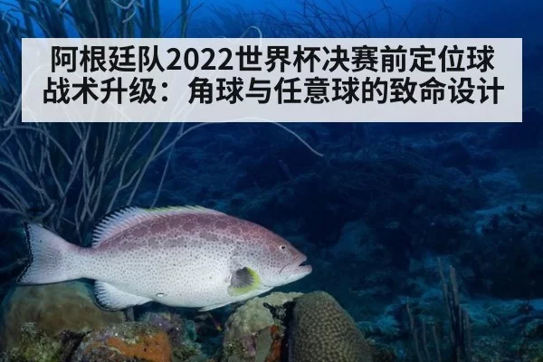 阿根廷队2022世界杯决赛前定位球战术升级：角球与任意球的致命设计