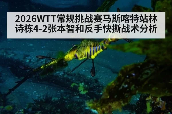 2026WTT常规挑战赛马斯喀特站林诗栋4-2张本智和反手快撕战术分析