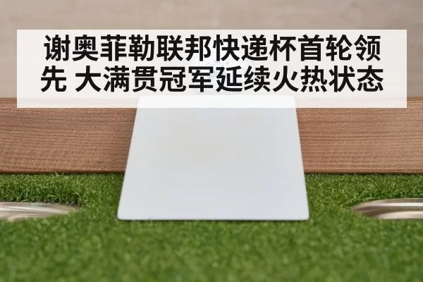 谢奥菲勒联邦快递杯首轮领先 大满贯冠军延续火热状态